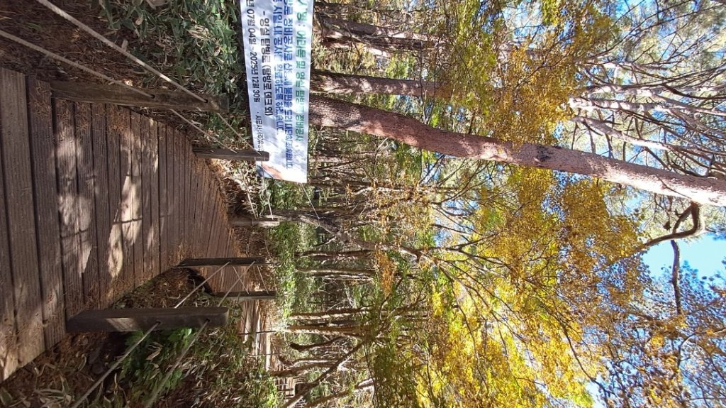 濟州島漢拏山-靈室路線上_2942628