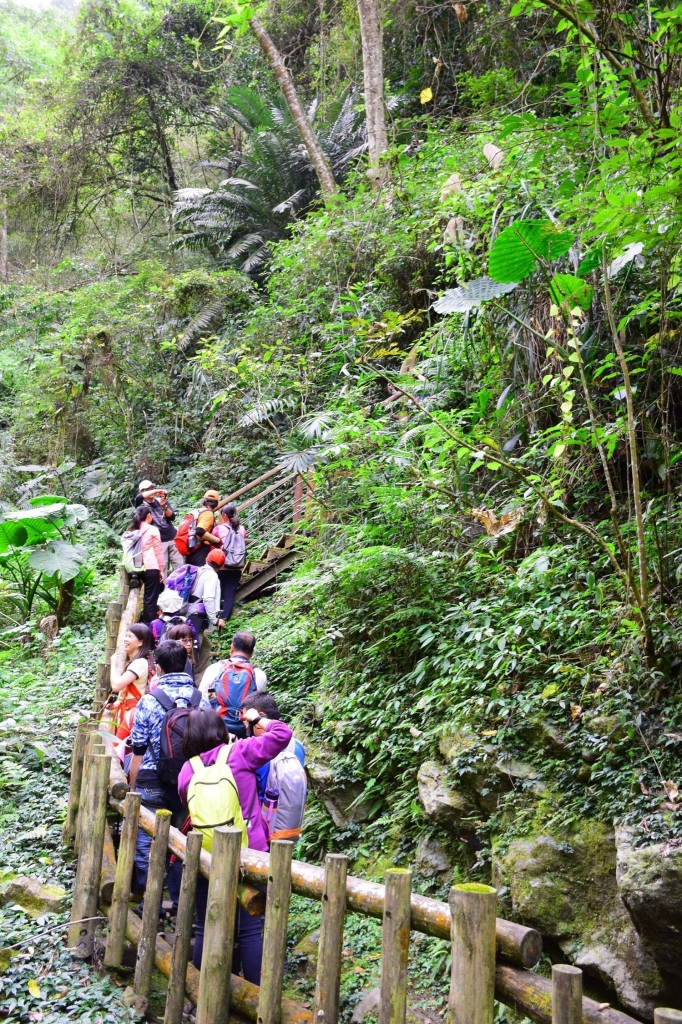 福山古道連接米洋溪和湖底溪，取名迷糊_98872