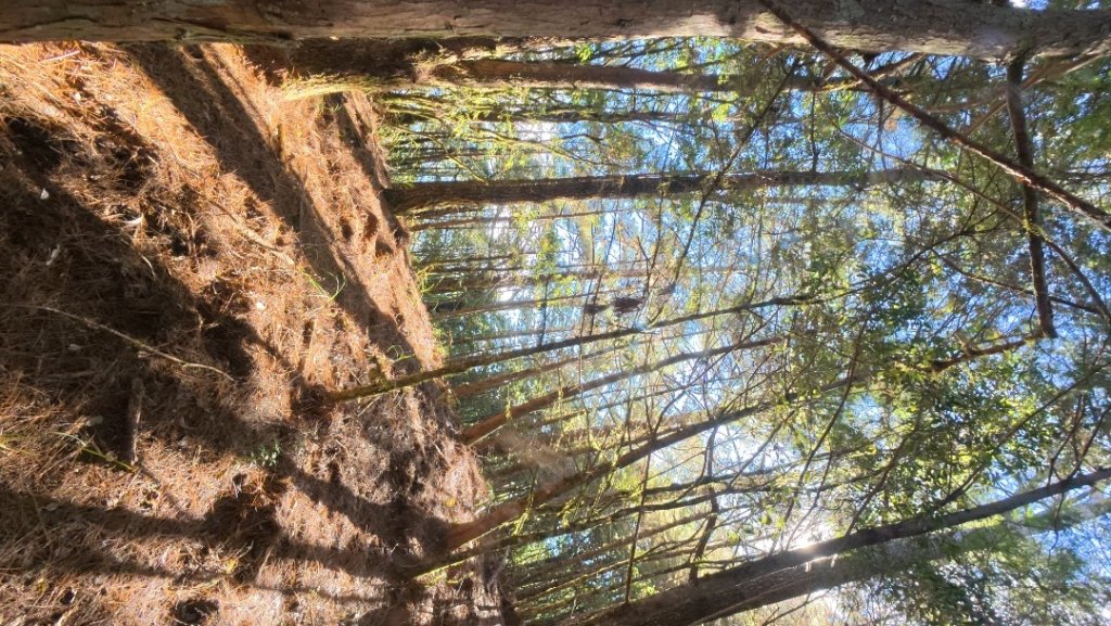 馬武霸下武陵封面圖