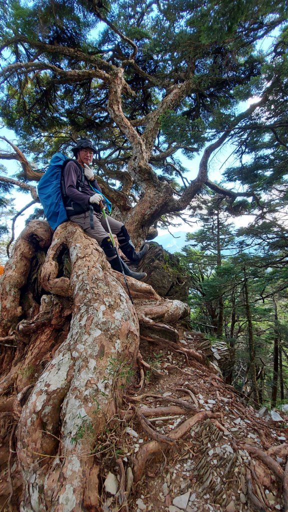 111/07/23畢羊縱走DAY 1(大禹嶺-820林道-畢祿山-鋸東山屋)_1777515