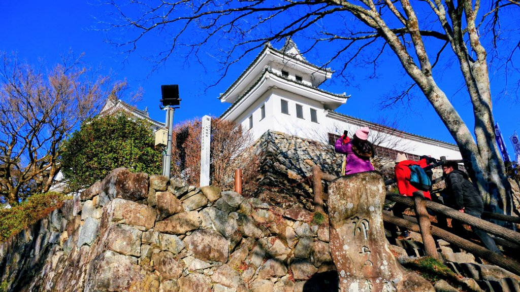 郡上八幡城的白帆_2982602