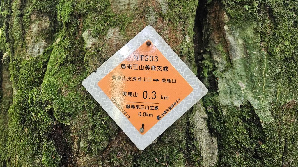 20250730烏來三山下紅河谷_2848720