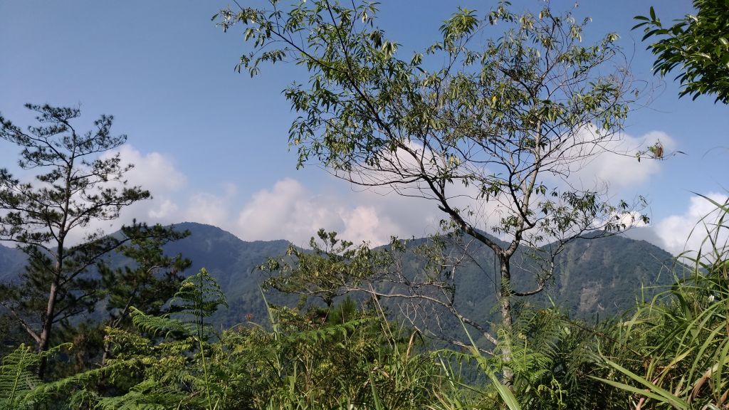 唐麻丹山+蝴蝶谷瀑布O型縱走_374564