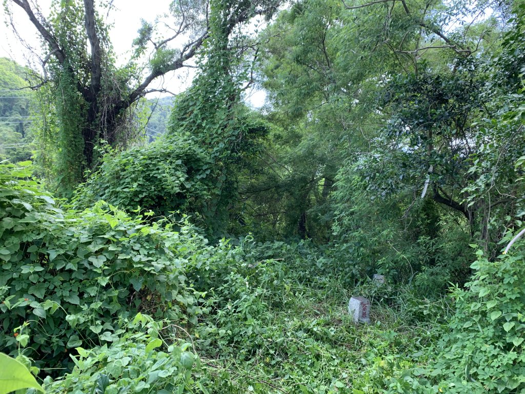 20240824屏東千金湖山_2581910