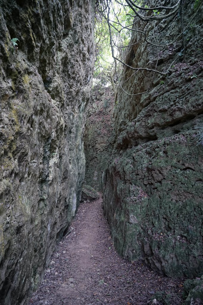 【霧霾】【柴山龍谷步道】_2711772