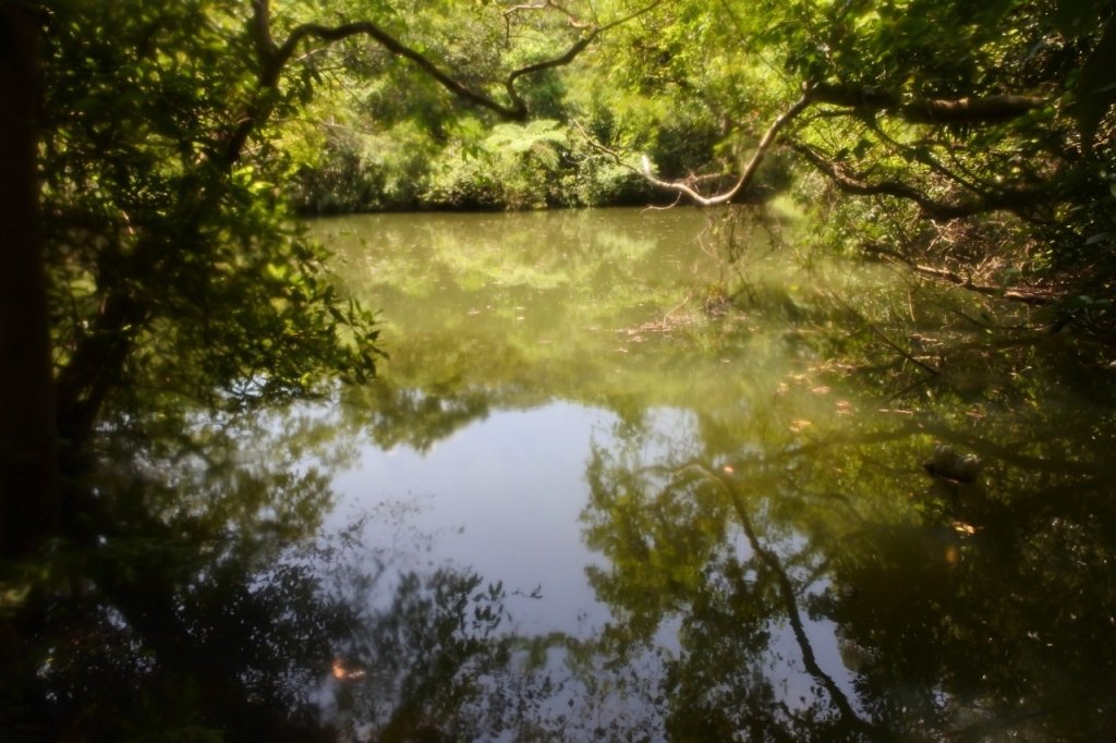 20240901三分仔古道-楊廷理古道_2585559