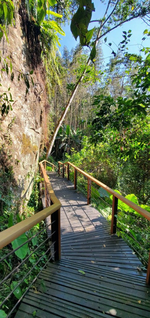 2025-01-30迷糊步道_2704451