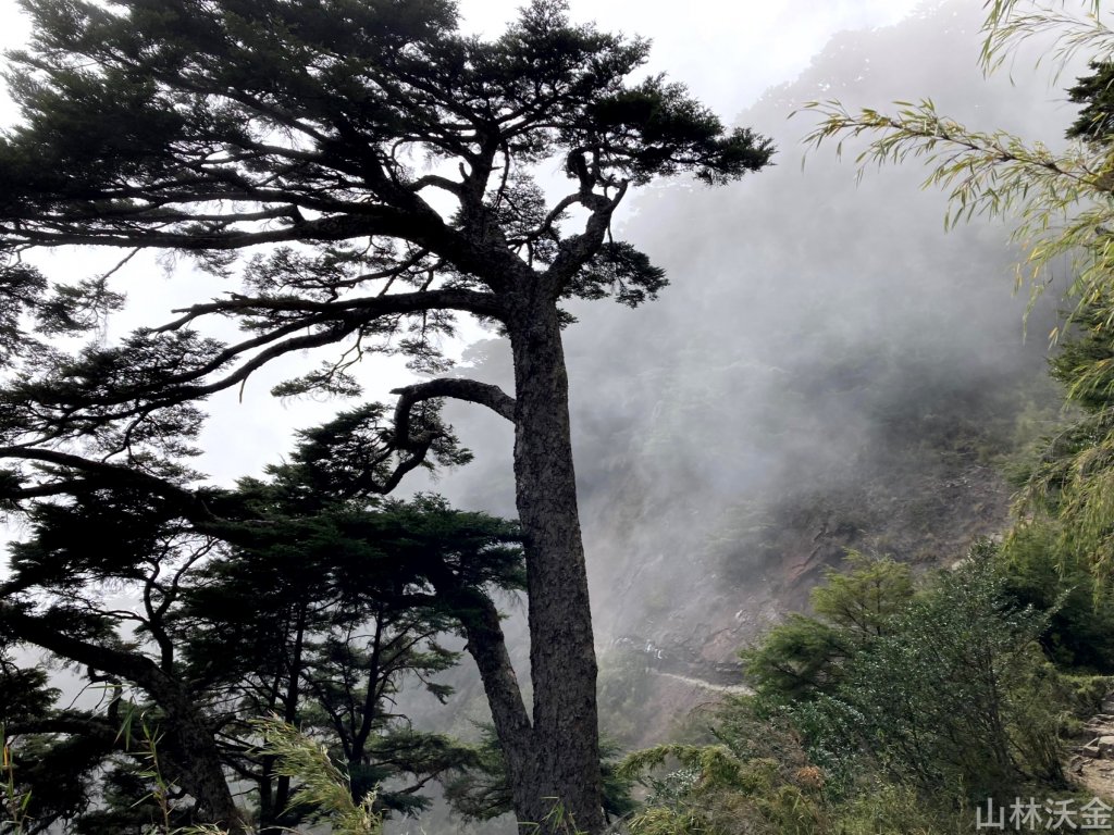 2023-11-27 玉山主峰_2365058