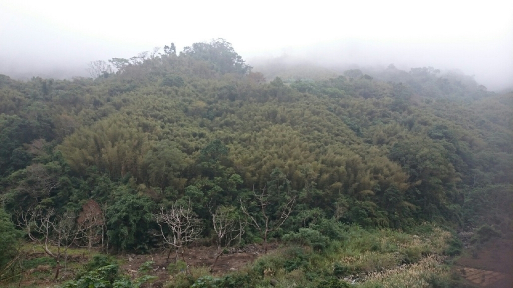 20151226泰安鄉熊佧山_27741