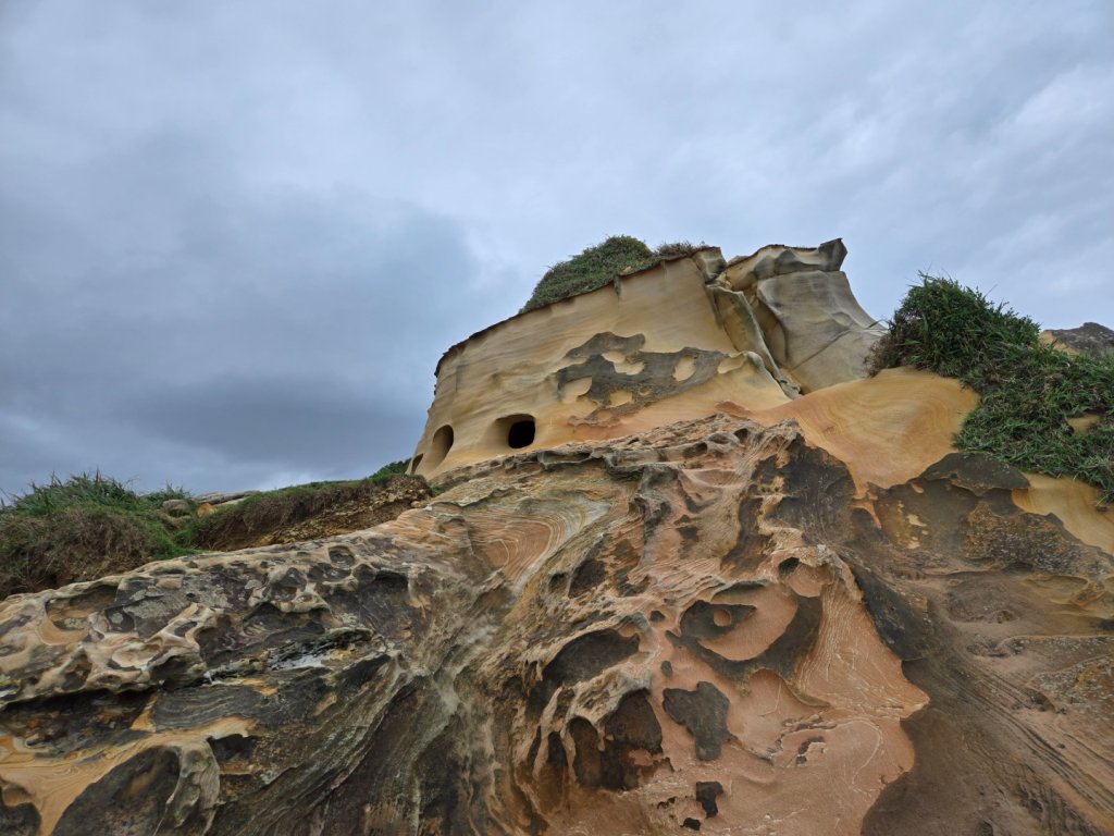 駱駝峰封面圖