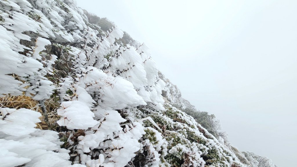 112.3.13～3.14 冰封奇萊主北_2074150