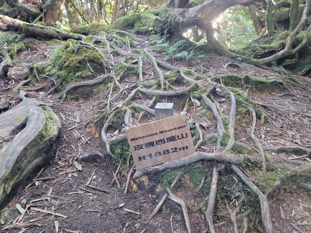 20230219 塔魔巴_2037220