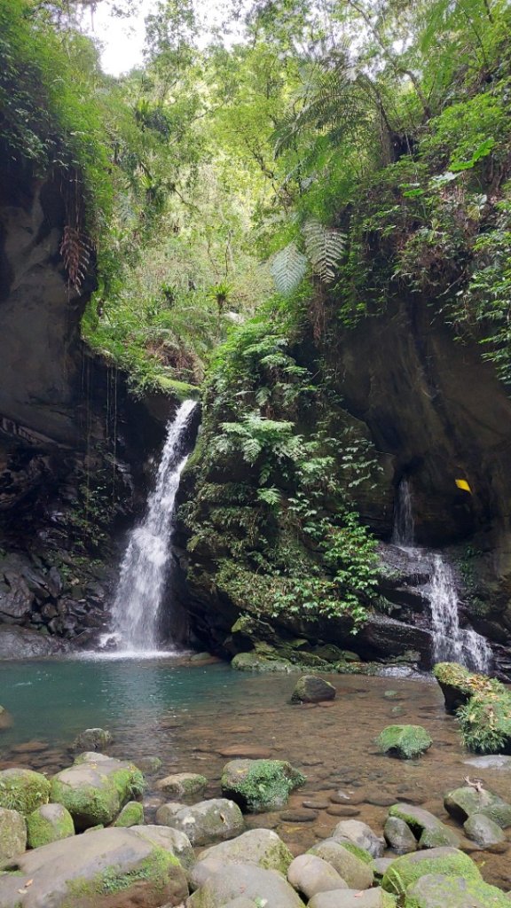 桃園復興金牌縱走_2763259