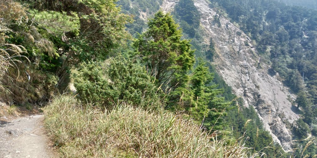 108.4.8奇萊南華自由行_564741