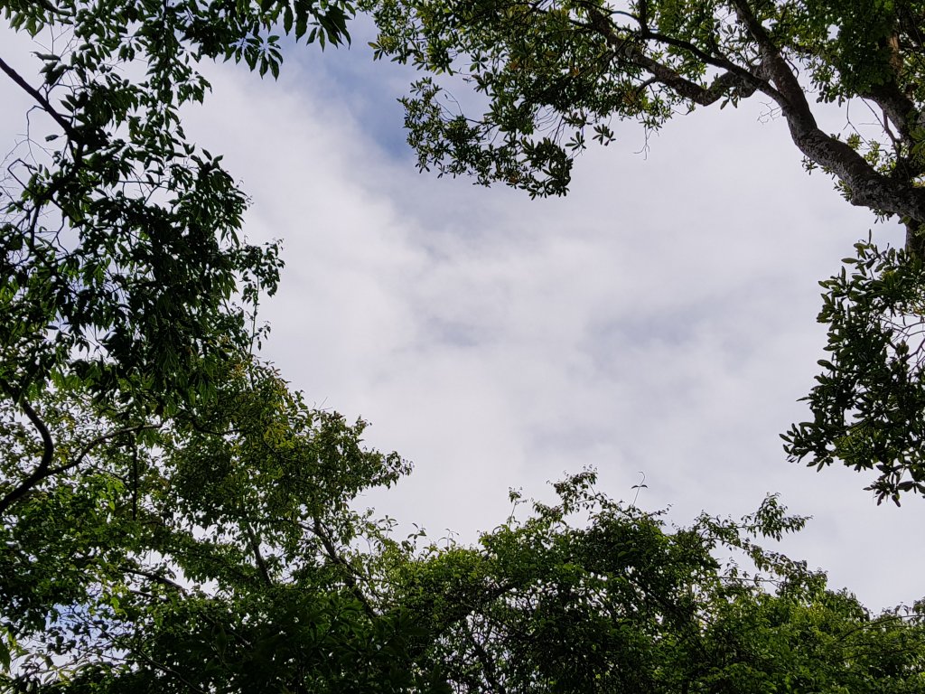 復興三尖之那結山_1423072