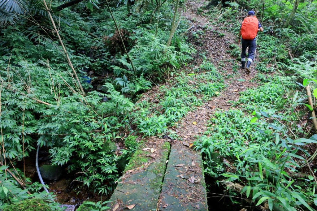 崩山大崙-石碇大崙封面圖