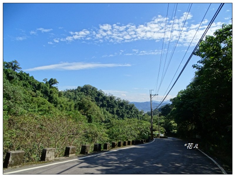 大棟山/芒花(小百岳)_752412