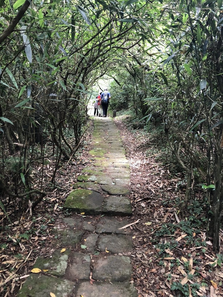 【台北大縱走1】二子坪-清天宮_1022688