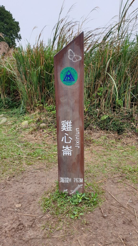 冷擎步道封面圖