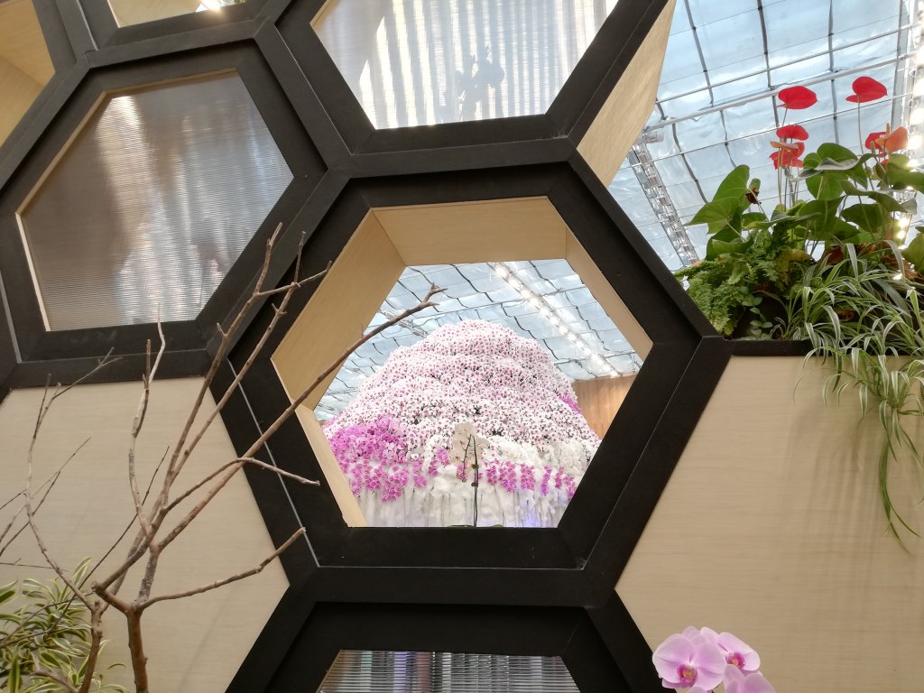 台中花博~后里馬場、花舞館_550938