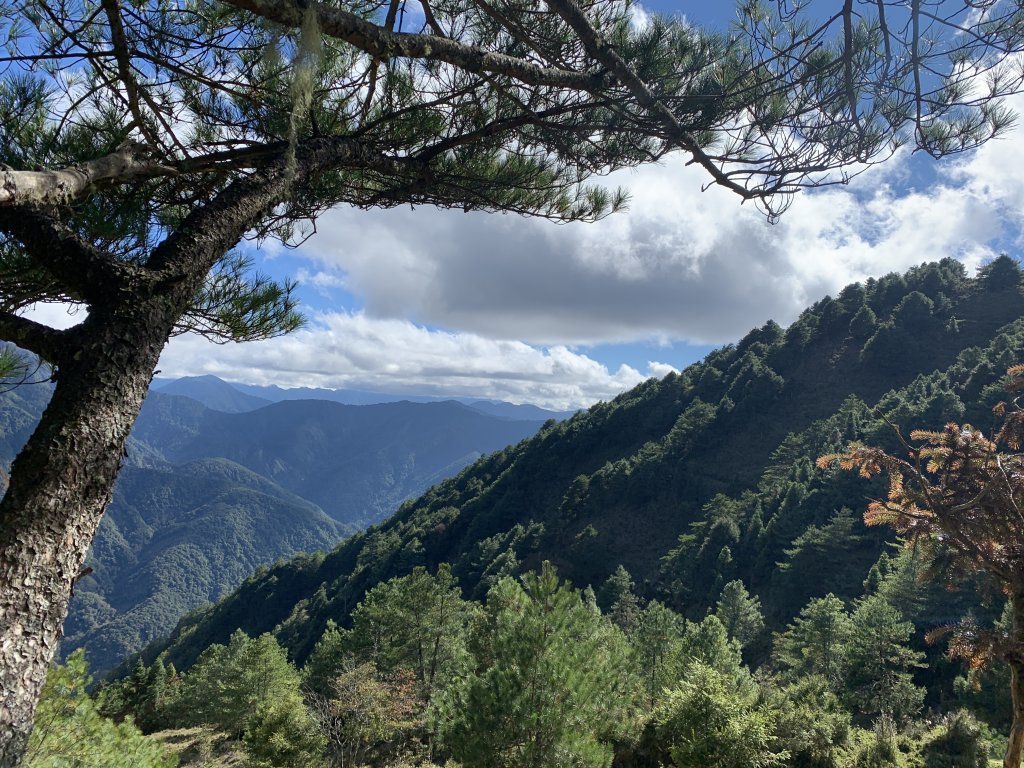 20201鹿林前山，鹿林山，麟趾山環走_1206713