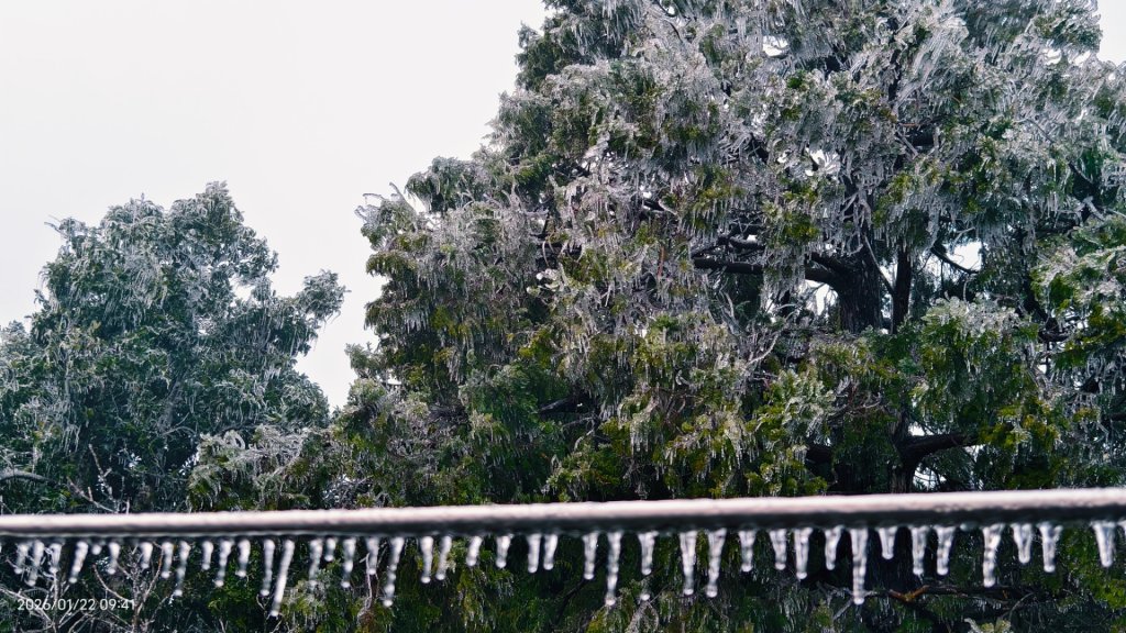 #太平山 #望洋山 #霧淞 1/22封面圖