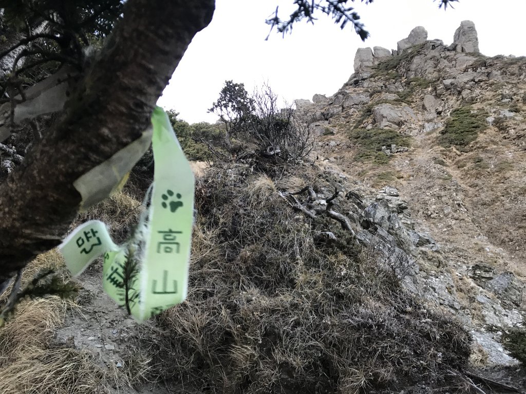 屏風山上奇萊北_892428