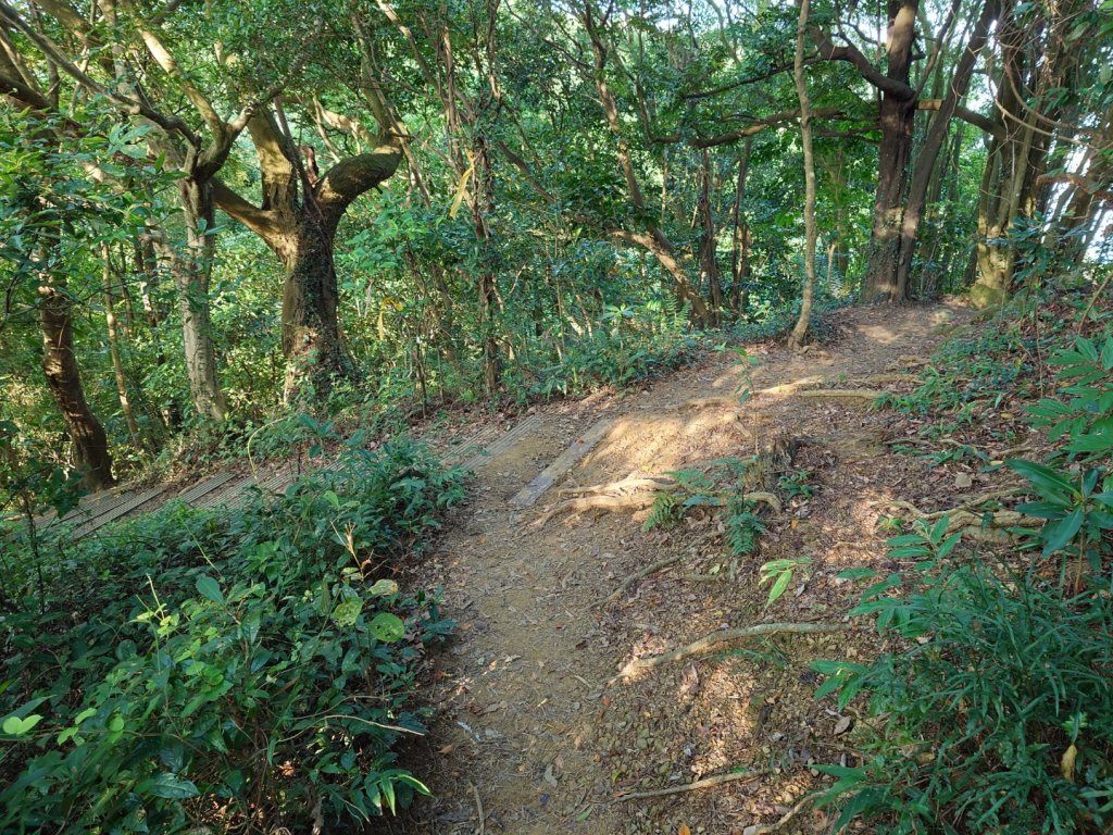 微笑山線之鳶山任務_2855512