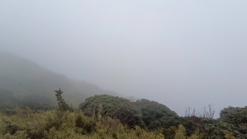 合歡南峰/主峰（霧茫茫一片）_1646928
