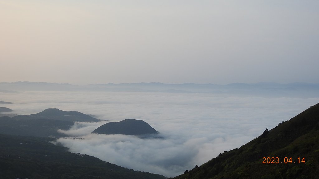 邂逅江湖傳說已久鐘萼木(據說冰河孓遺植物)，再見差強人意的月光/日出雲海_2112381