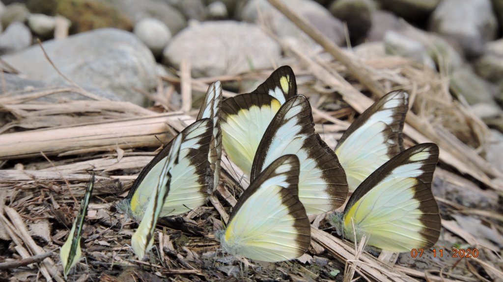 就是喜歡這個藍天白雲的FU_1029242