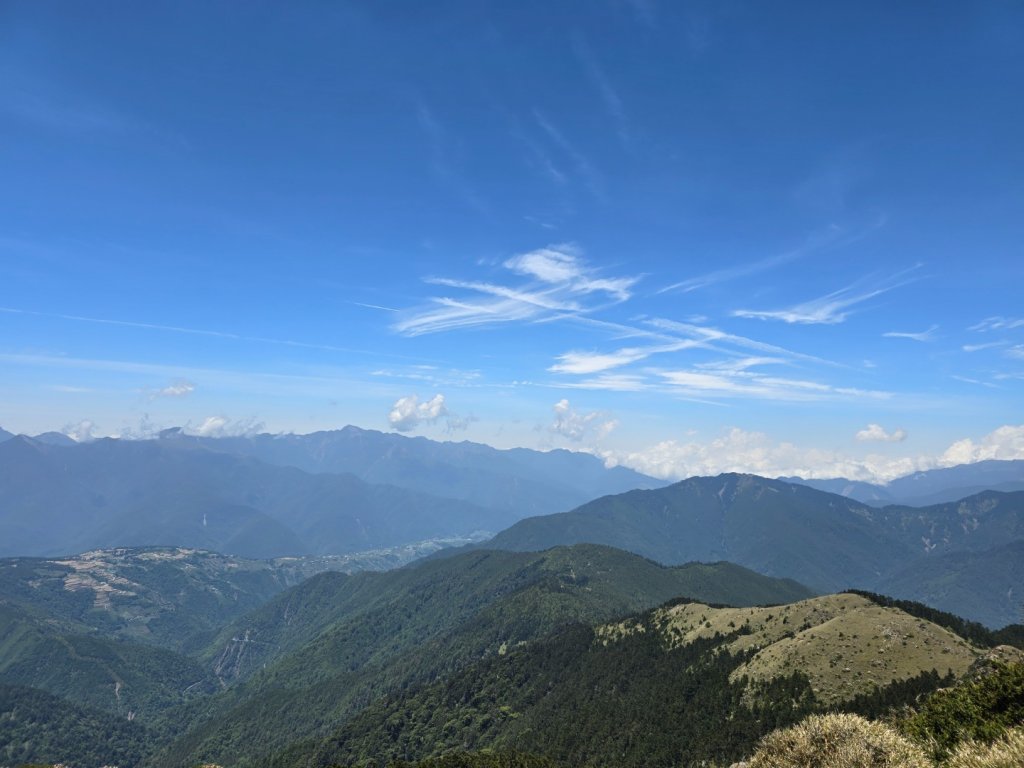合歡北峰高山杜鵑盛開／龍膽點綴／紅毛杜鵑少許開花_2497509
