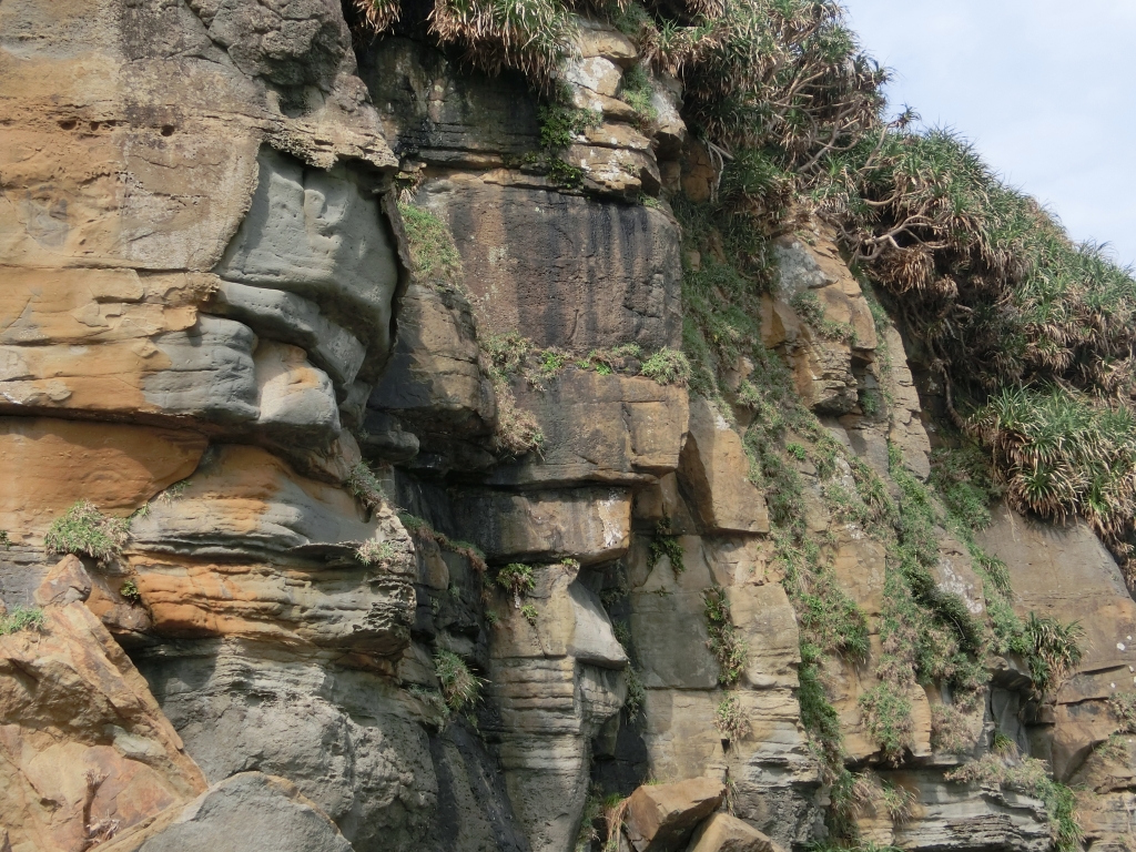 鼻頭角步道．地質公園_91455