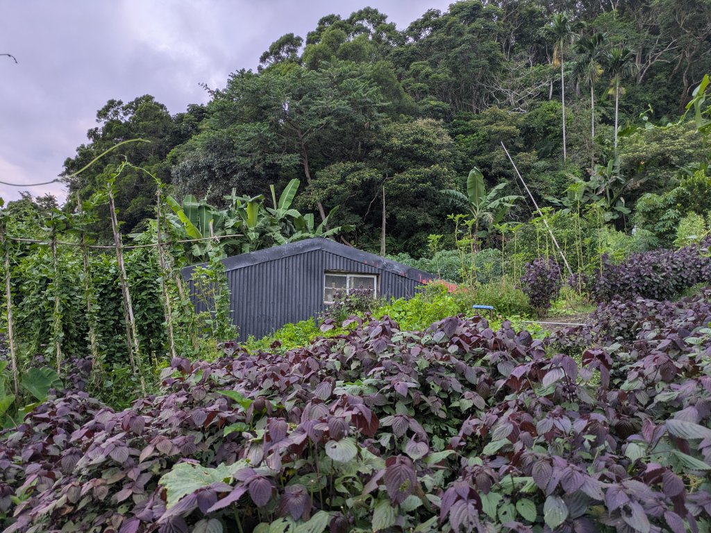 淡蘭古道中路_2860308