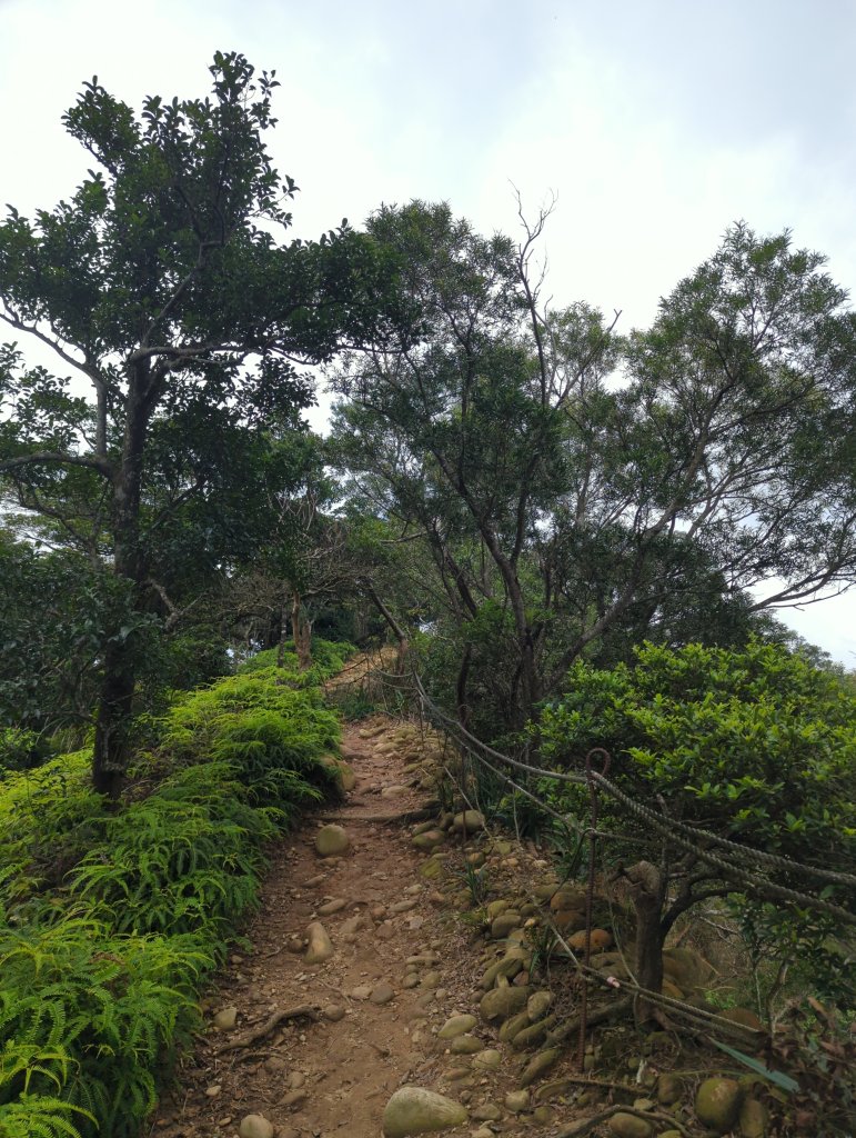 2025.07.12－火炎山、南鞍古道O行縱走_2834839