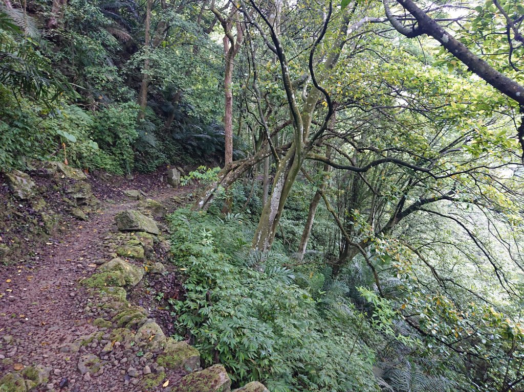 小東河步道封面圖