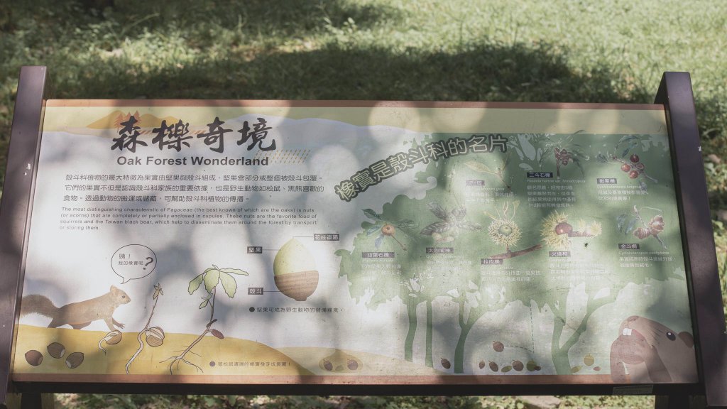 福山植物園-生態天堂_1088802