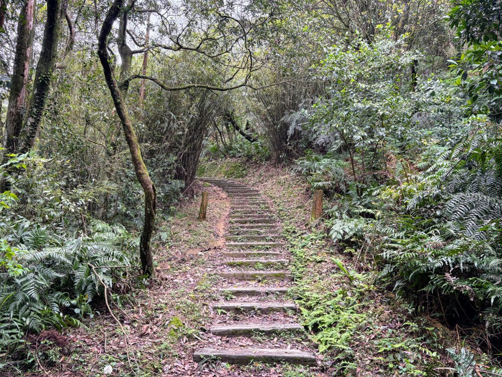 姜子寮山_2736844