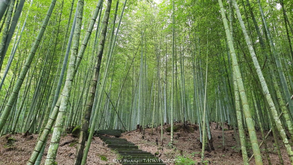 《雲林》望好望角｜石壁山嘉南雲峰步道(中側登山口）20250607_2805317