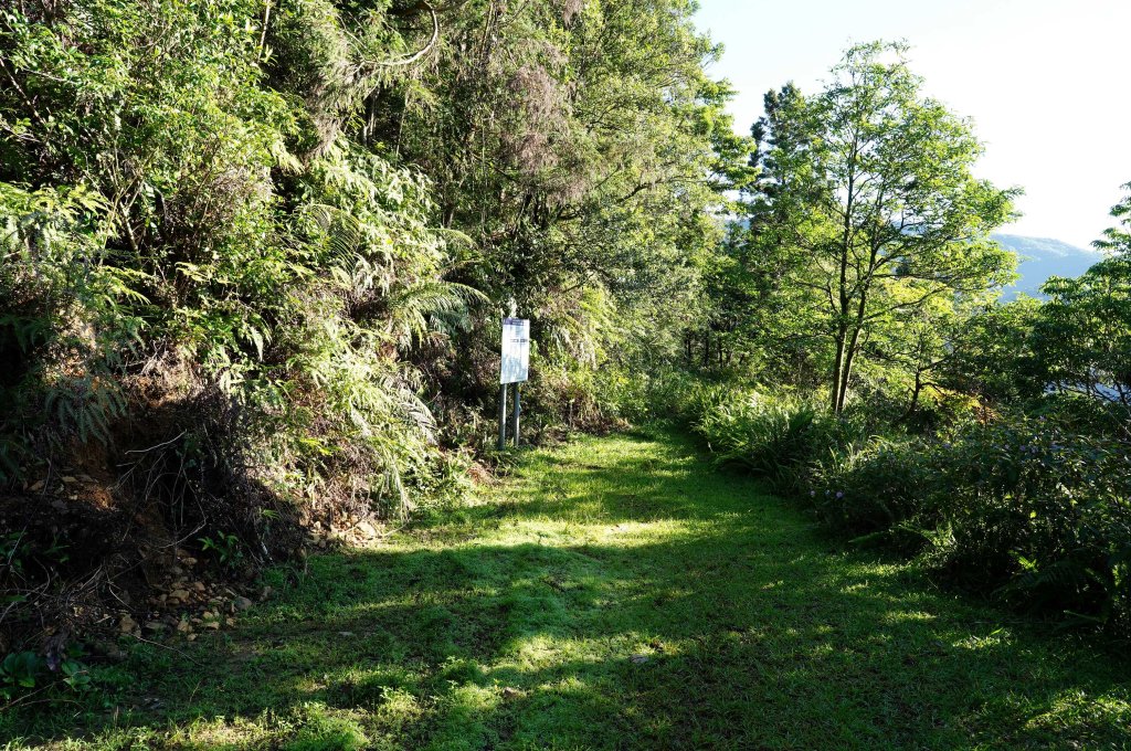新北 烏來 阿玉山_2824050