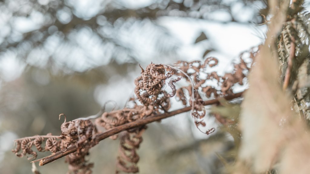 菅芒浪白｜五分山_2356450