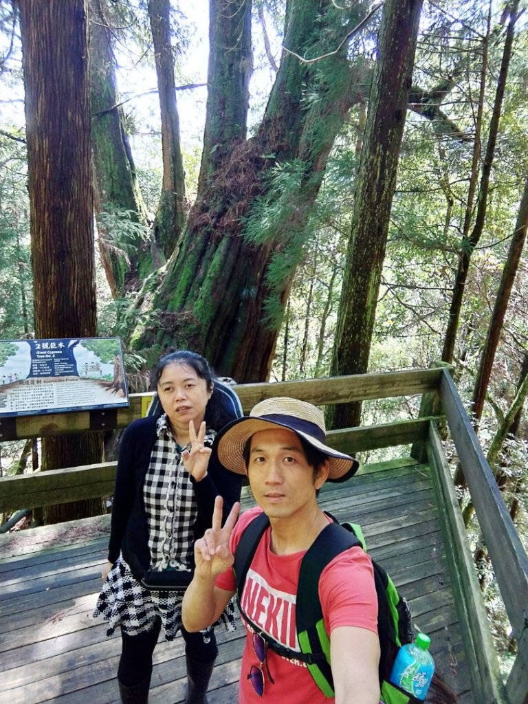 檜山巨木群步道_1662907