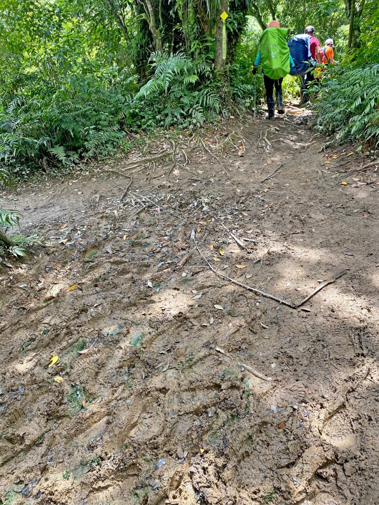 再訪美麗夢幻的17歲少女松蘿湖    _1025856