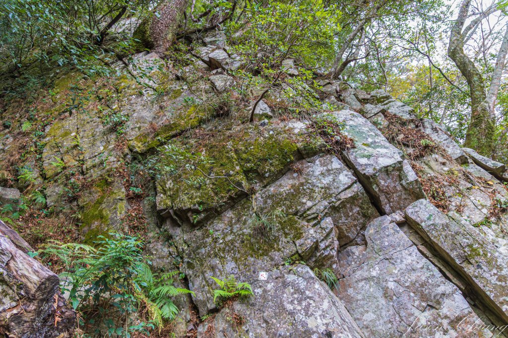 谷關七雄_波津加山_2977568