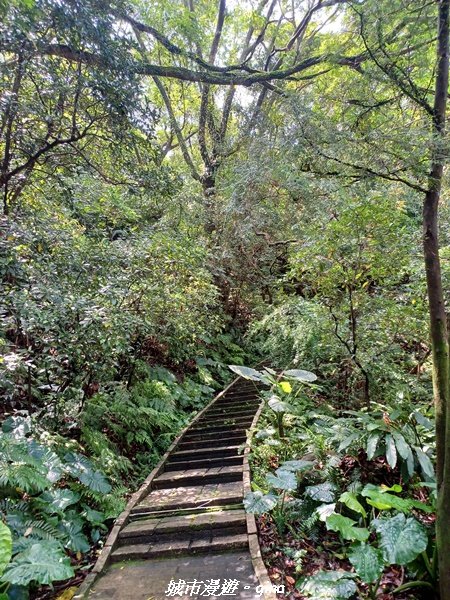 【新北金山】三面臨海視野佳。 獅頭山公園步道x神秘海灘x燭臺雙嶼_2818729