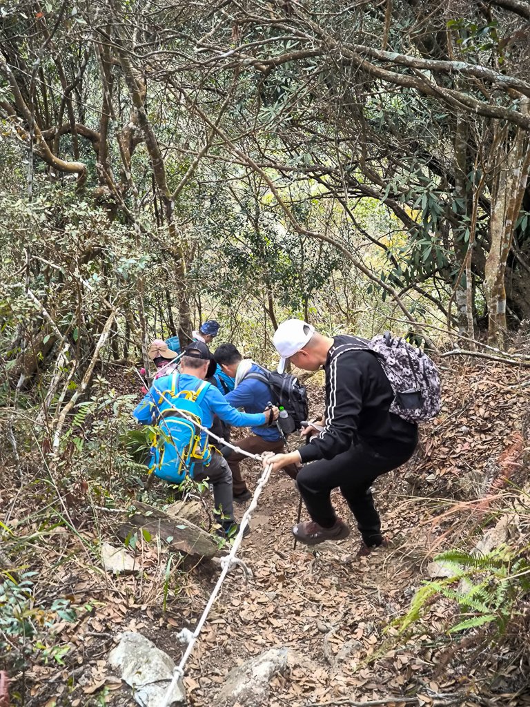 2026-01-18 埔里關刀山_2989621