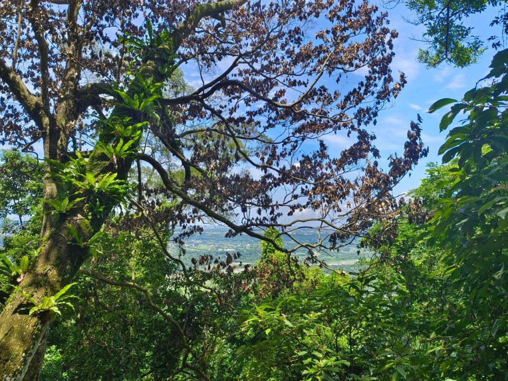 桃園-溪州山封面圖