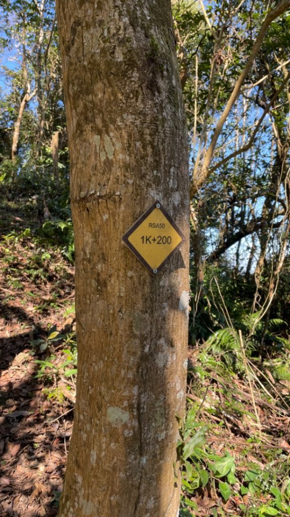 樟之細路-聖關段_2686795