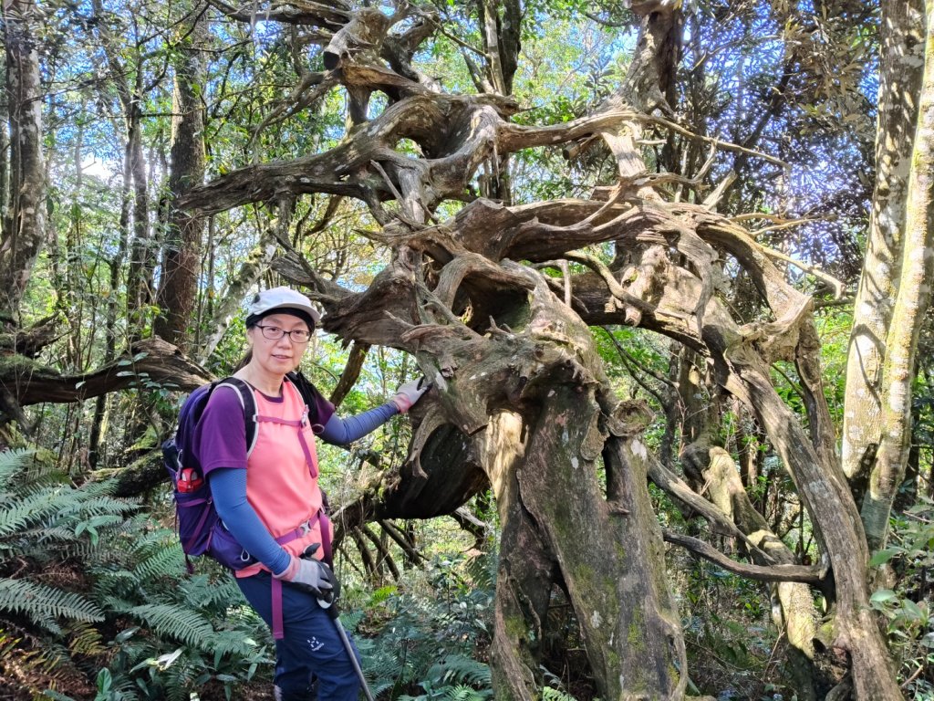 貴妃那結P 型縱走1131012_2621931