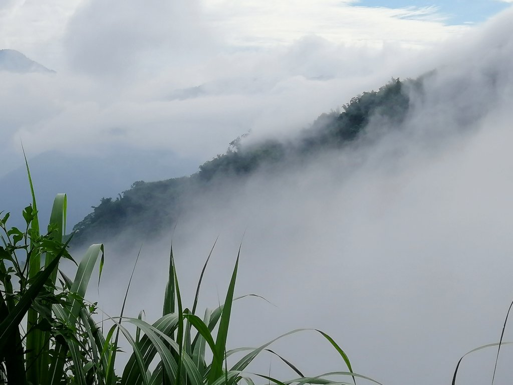 【雲林草嶺線】草嶺風景區~石壁遊龍湖步道_1171877